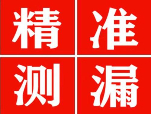 昂仁尚嘉漏水精准查找