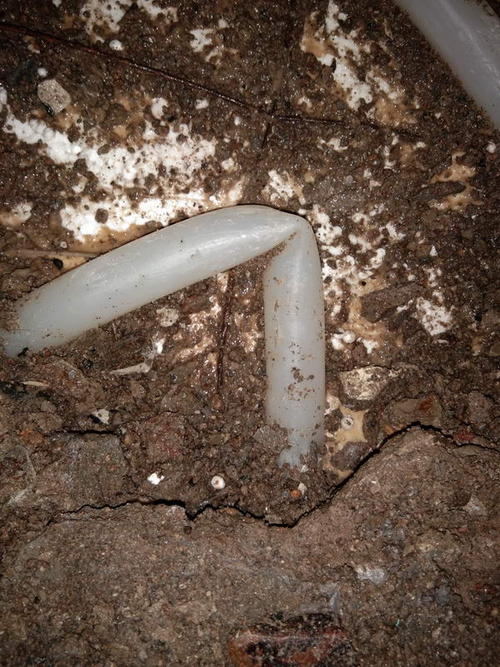 昂仁堵点精准查找